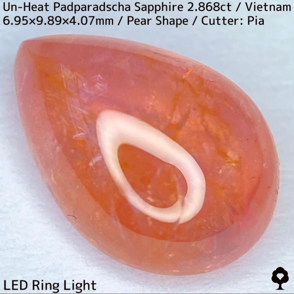 Un-Heat Padparadscha Sapphire 2.868ct / Vietnam