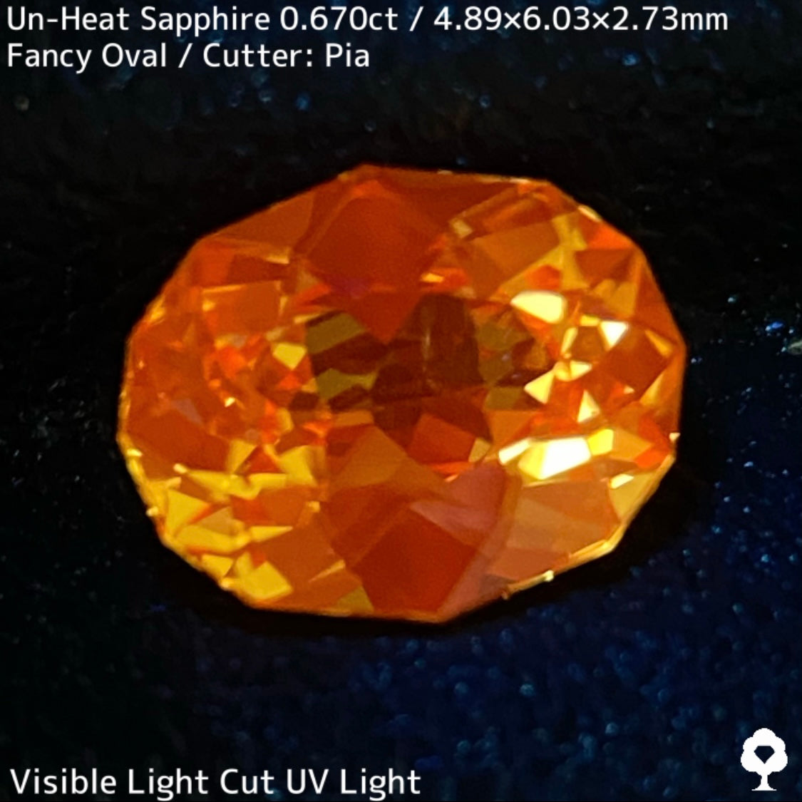 Un-Heat Yellow Sapphire 0.670ct / Kanchanaburi