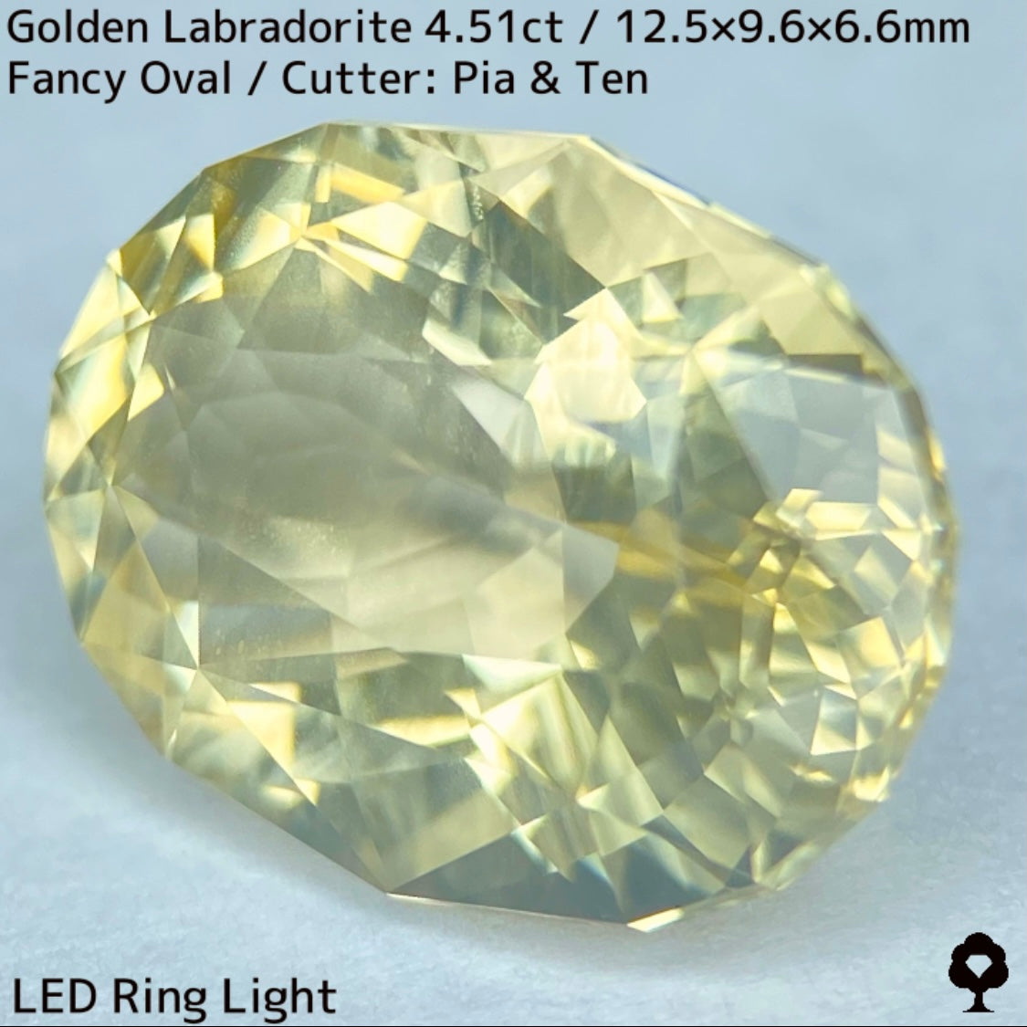 Golden Labradorite 4.51ct★A noble champagne gold with a tiger-like shredded Schiller created from rough stones★Comes with rough stones from the same lot