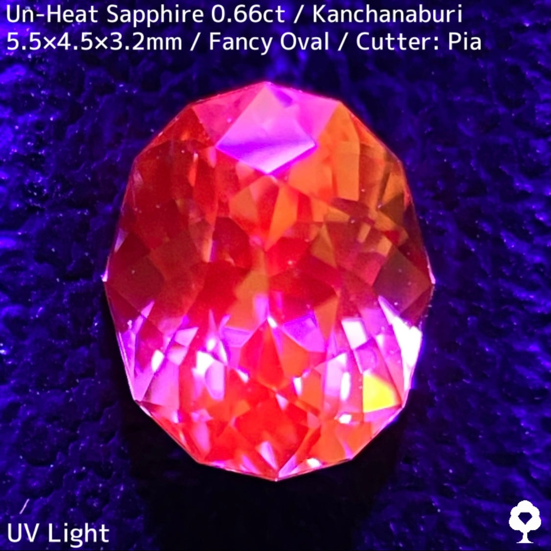 Un-Heat Yellow Sapphire 0.661ct / Kanchanaburi