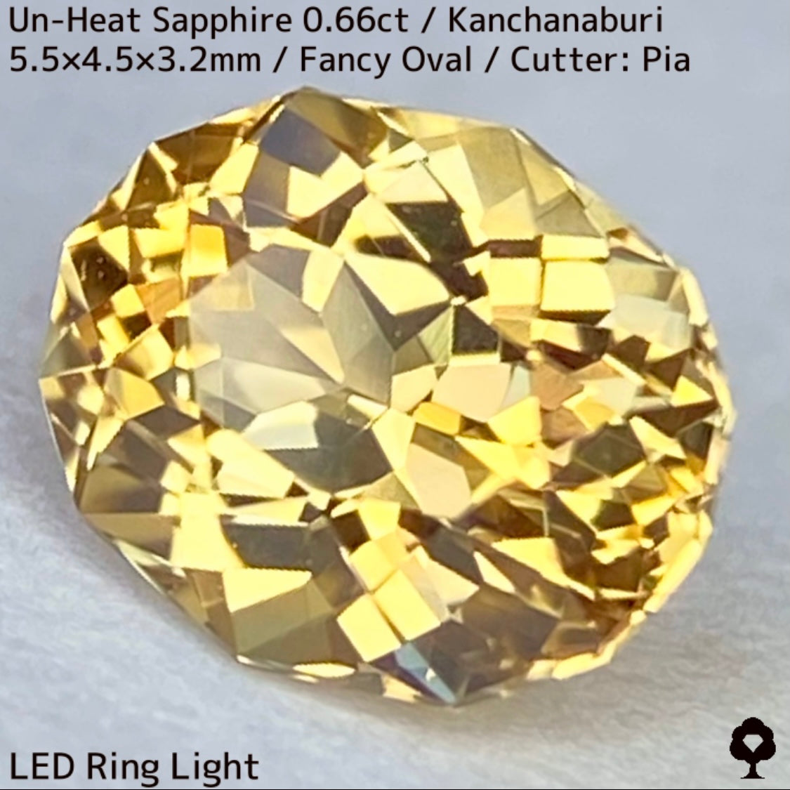 Un-Heat Yellow Sapphire 0.661ct / Kanchanaburi