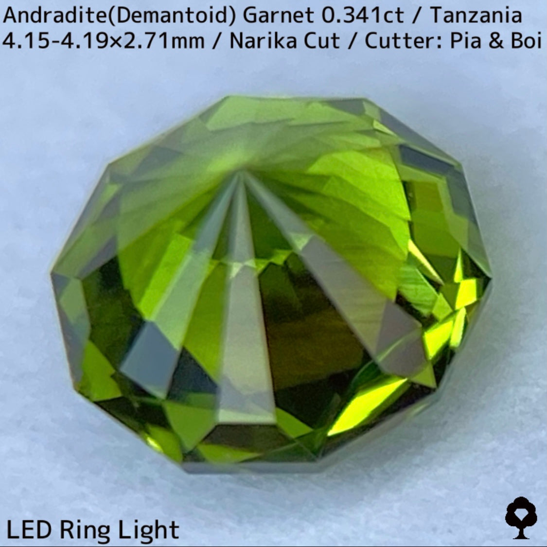 Andoradaite（Demantoid）0.341ct / Tanzania / Narika