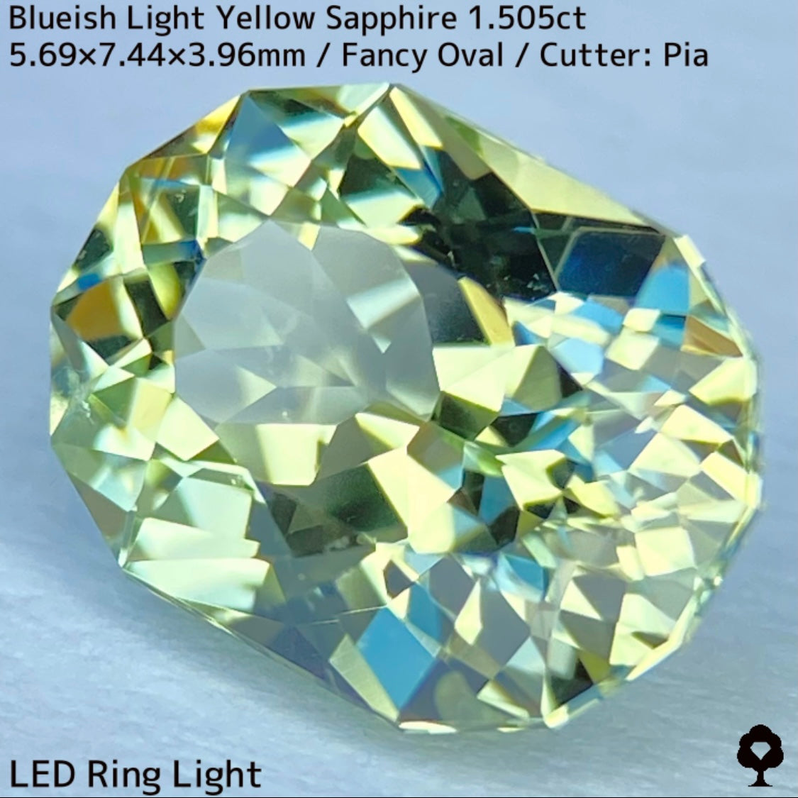 Kanchanaburi Sapphire 1.505ct