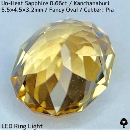 Un-Heat Yellow Sapphire 0.661ct / Kanchanaburi