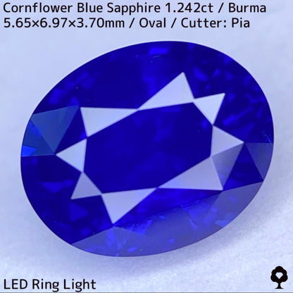 CornFlowerBlue Sapphire 1.242ct / Burma