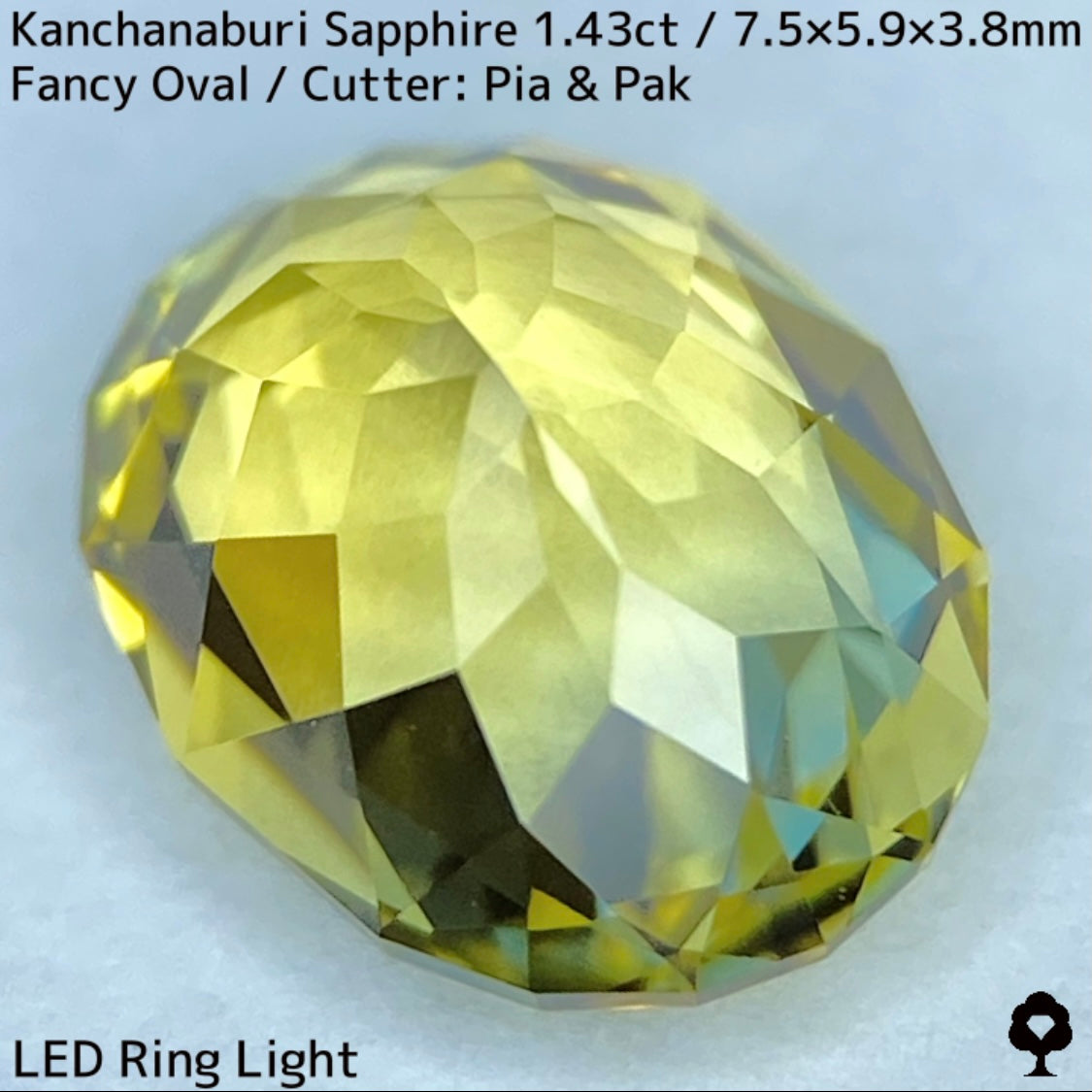 Kanchanaburi Sapphire 1.43ct