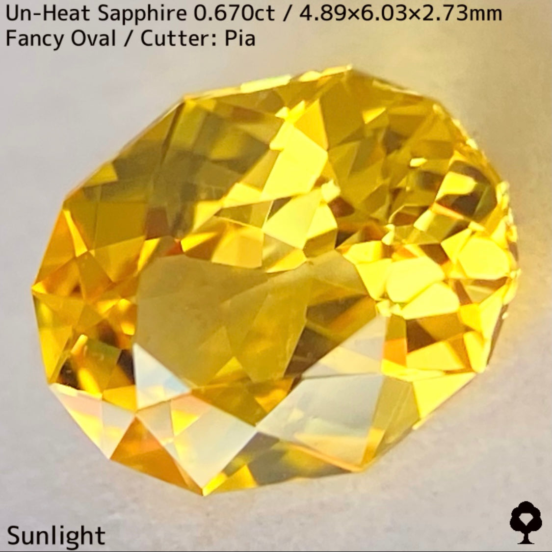 Un-Heat Yellow Sapphire 0.670ct / Kanchanaburi