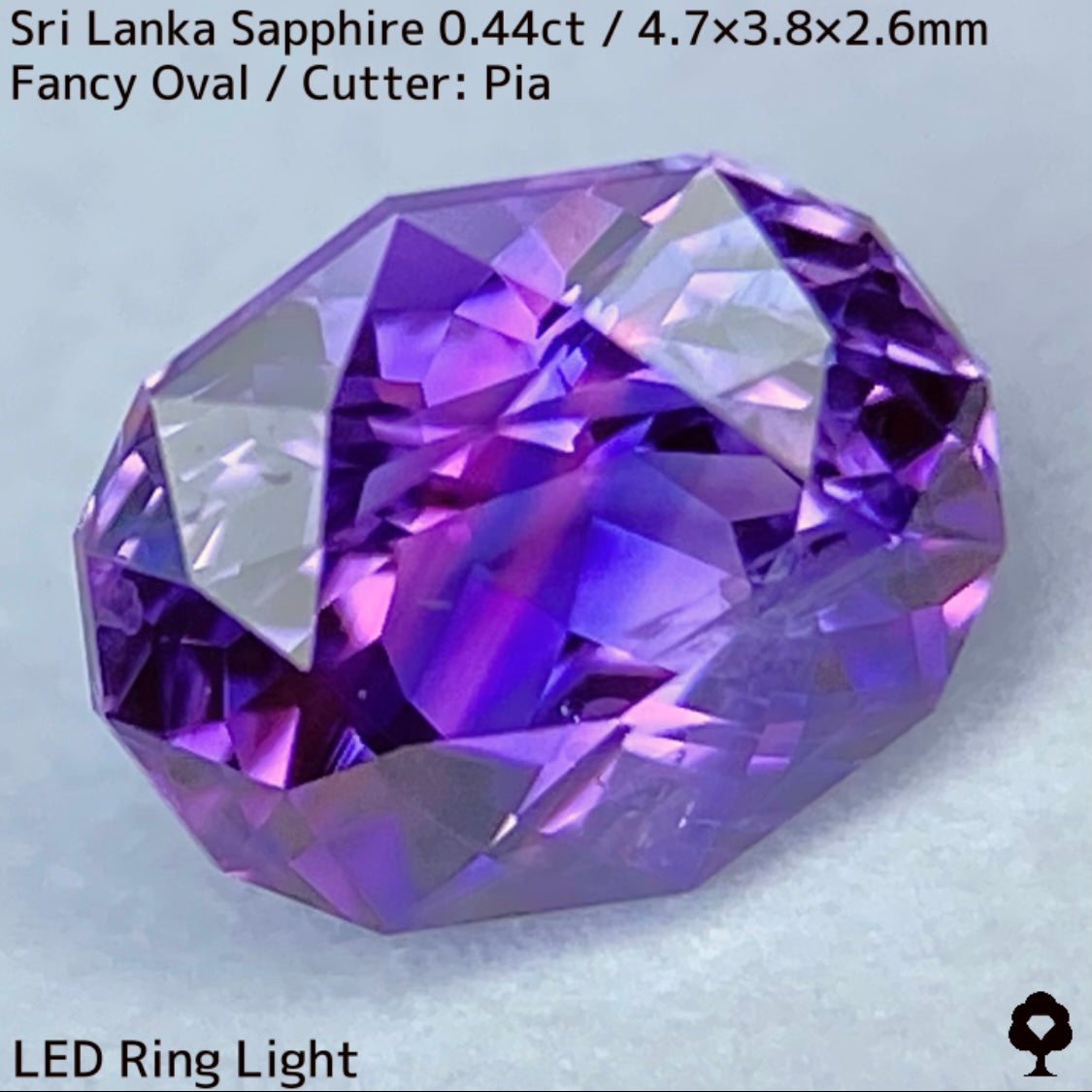 [For the successful bidder only] Sri Lankan sapphire 0.44ct ★ 2024.1.14 GTJ Founding Anniversary Chat Auction