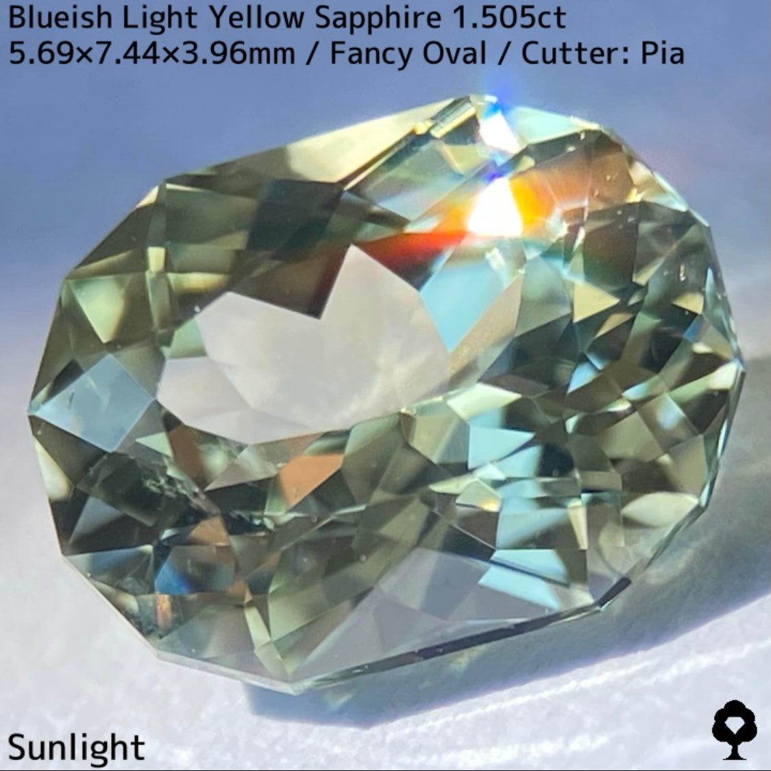 Kanchanaburi Sapphire 1.505ct