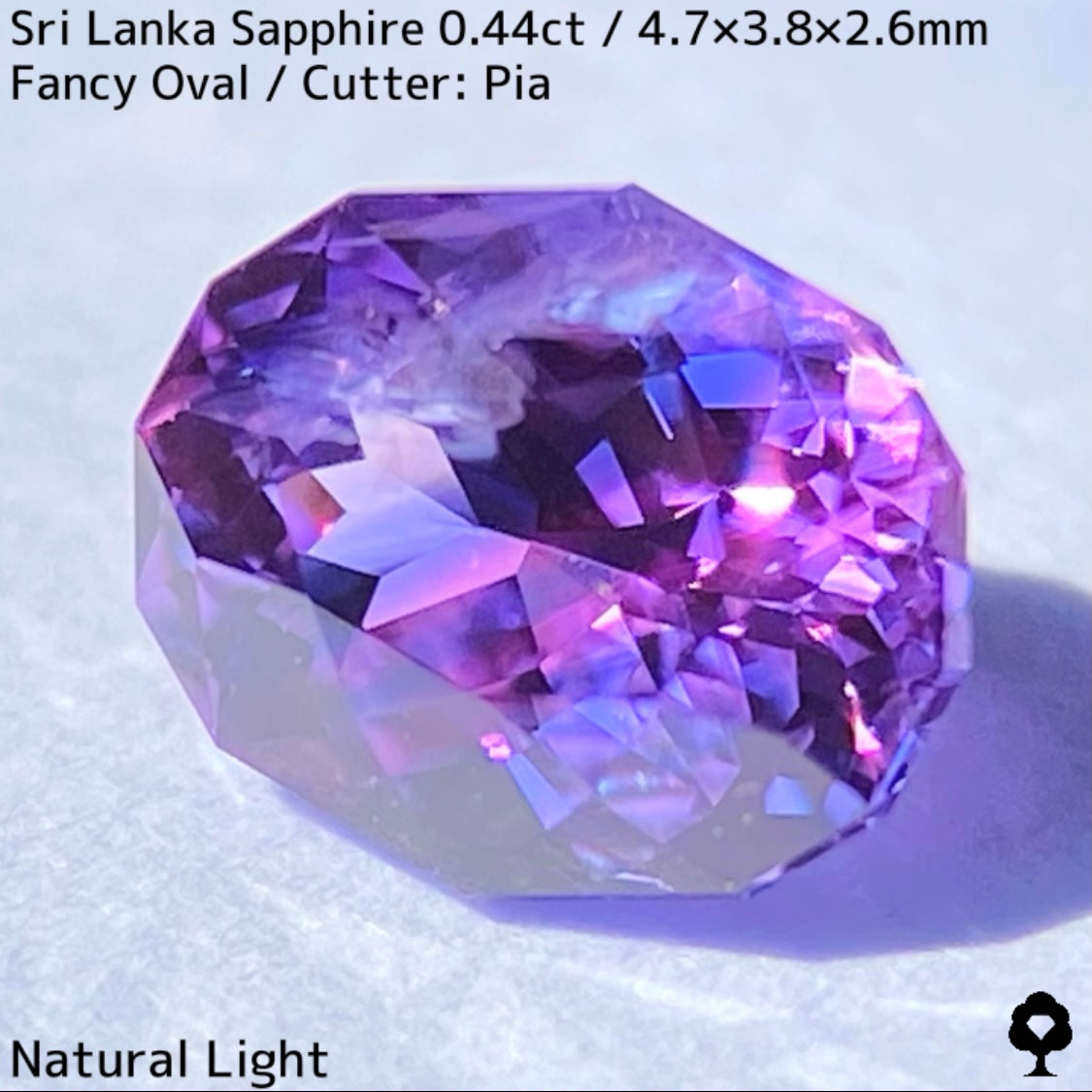 [For the successful bidder only] Sri Lankan sapphire 0.44ct ★ 2024.1.14 GTJ Founding Anniversary Chat Auction