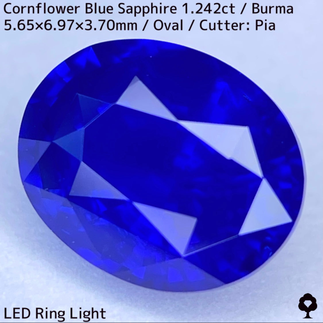 CornFlowerBlue Sapphire 1.242ct / Burma