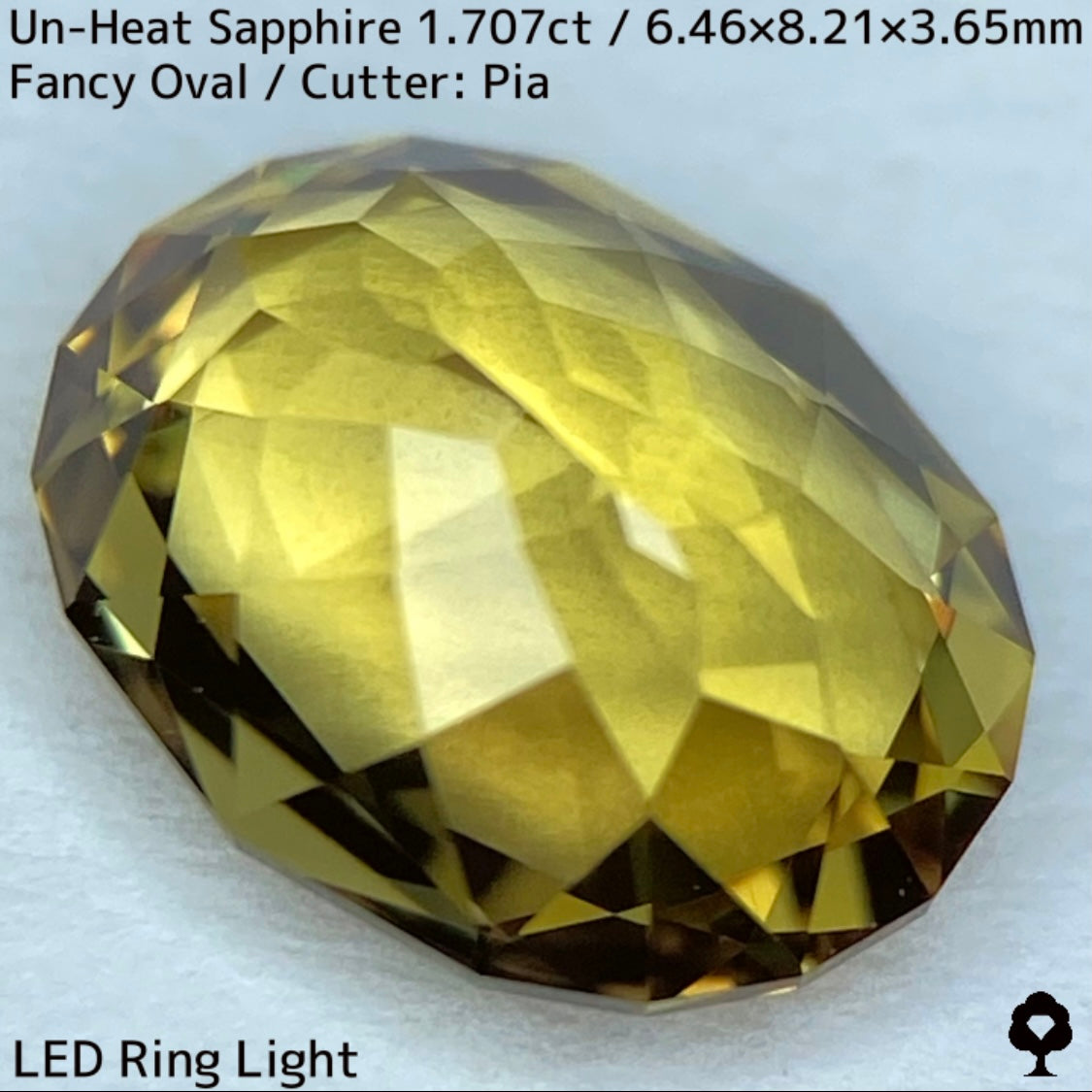 1.707ct unheated sapphire from Madagascar ★ The subtle greenish gold gives it a chic and gorgeous sparkle