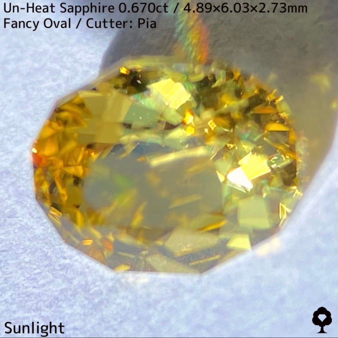 Un-Heat Yellow Sapphire 0.670ct / Kanchanaburi