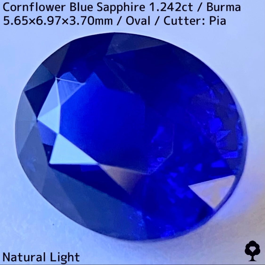 CornFlowerBlue Sapphire 1.242ct / Burma