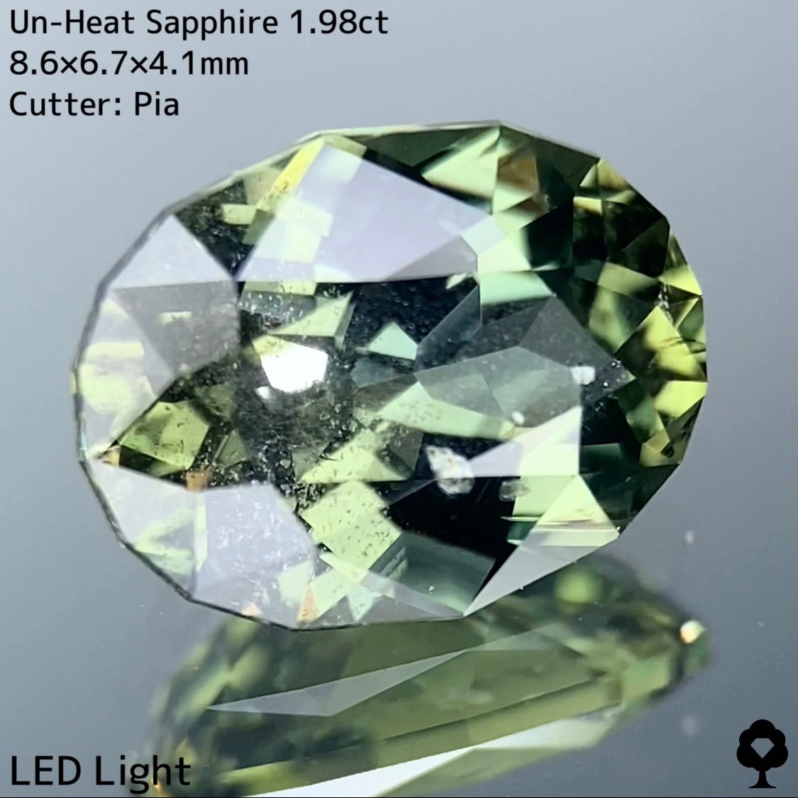 [For customers only] Unheated sapphire 1.98ct★Live-only extra price★