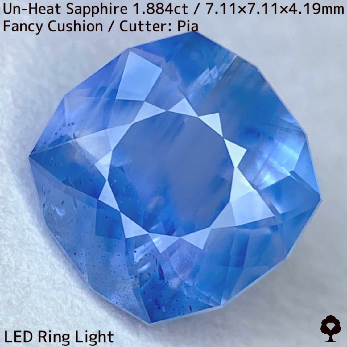 [For the successful bidder only] Unheated sapphire 1.884ct★2024.1.14GTJ Founding Anniversary Chat Auction