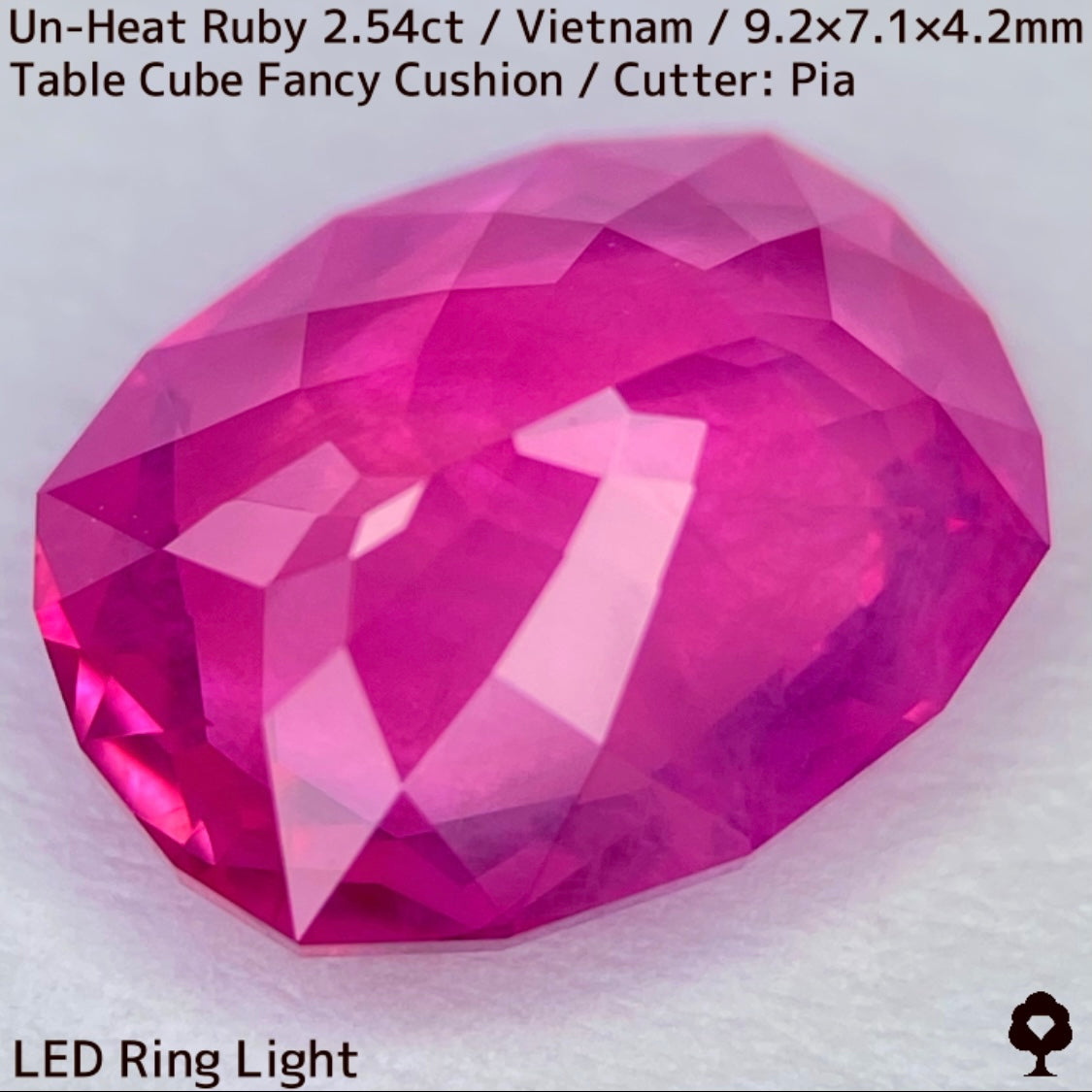 [Ruby Focus] Un-Heat Ruby 2.54ct / Vietnam