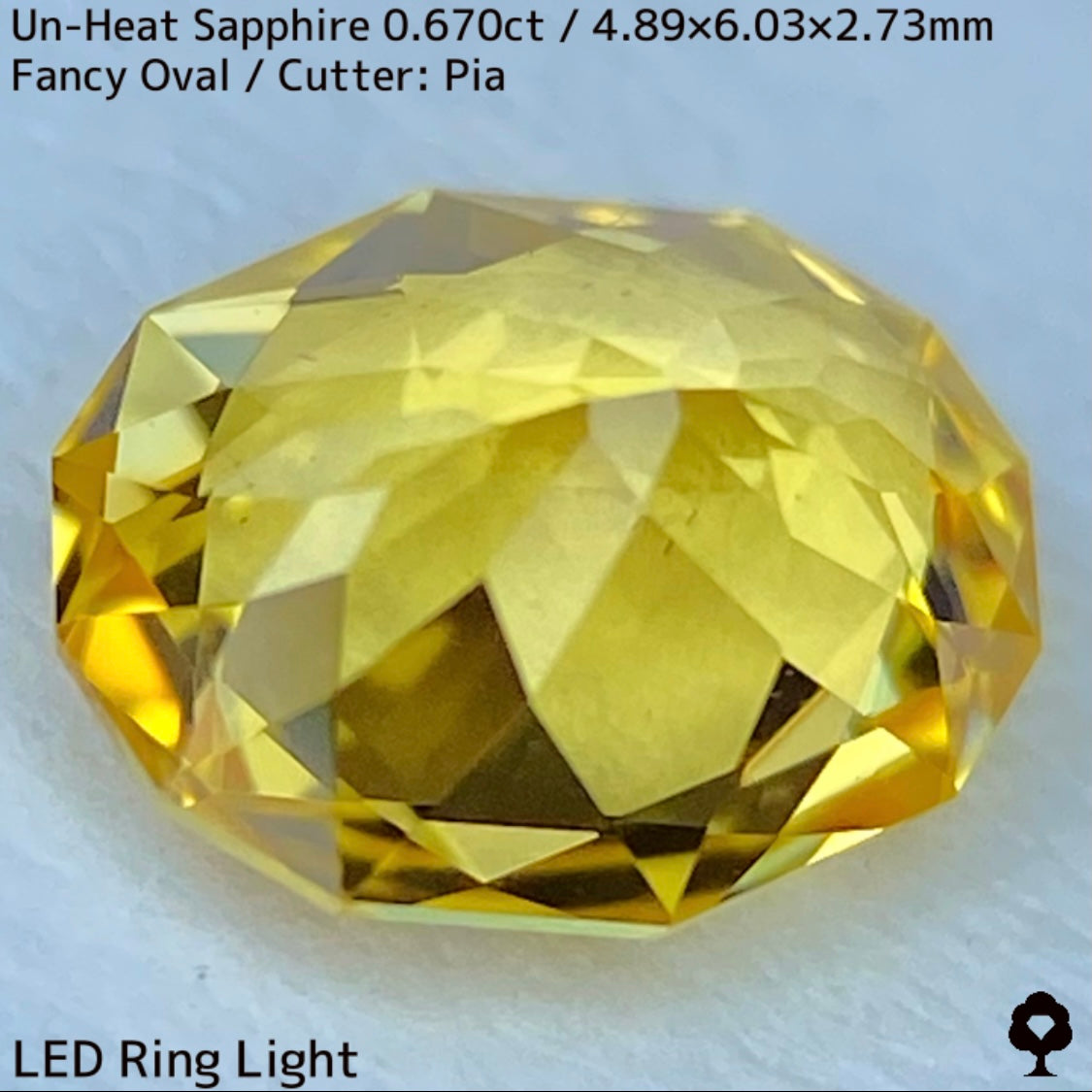 Un-Heat Yellow Sapphire 0.670ct / Kanchanaburi