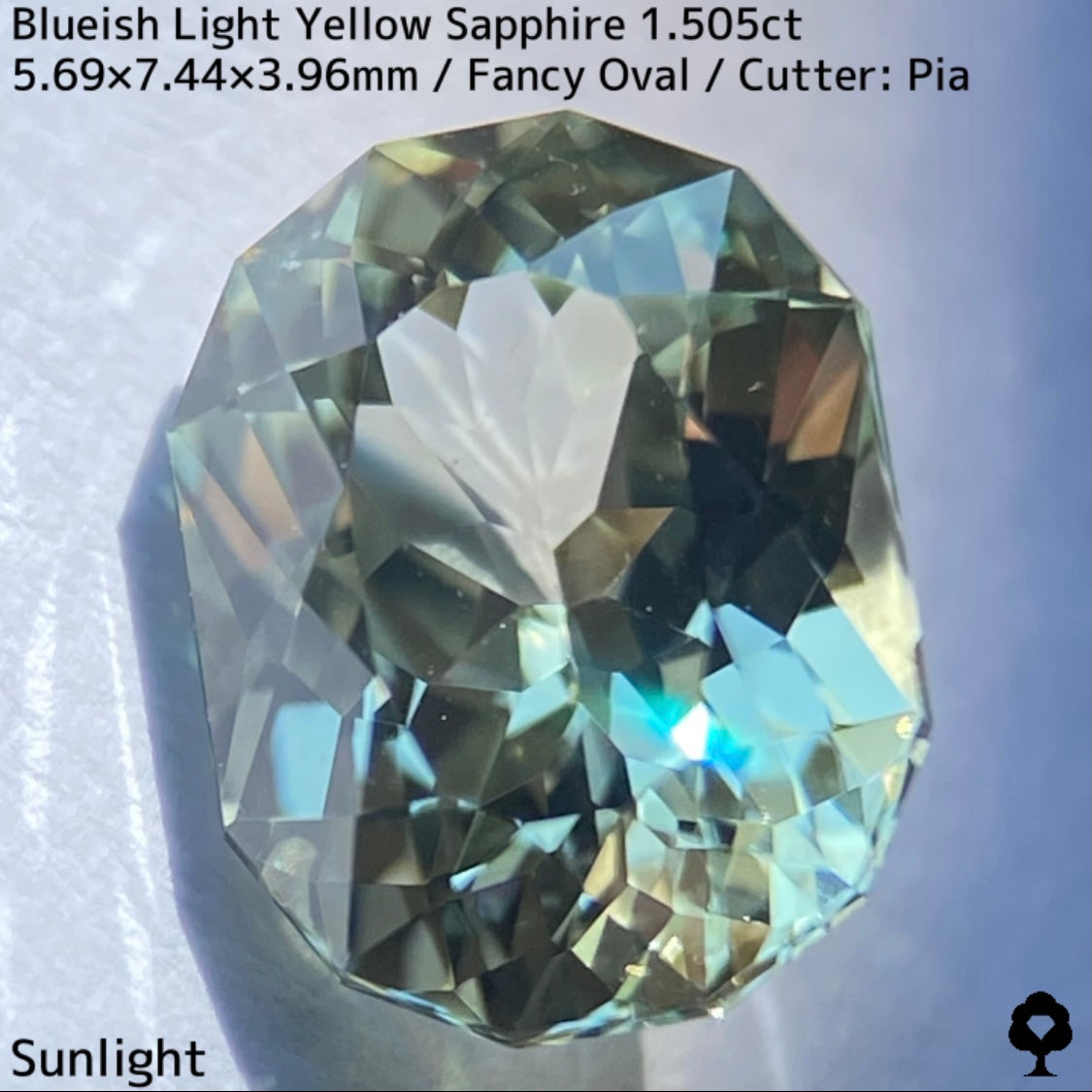 Kanchanaburi Sapphire 1.505ct