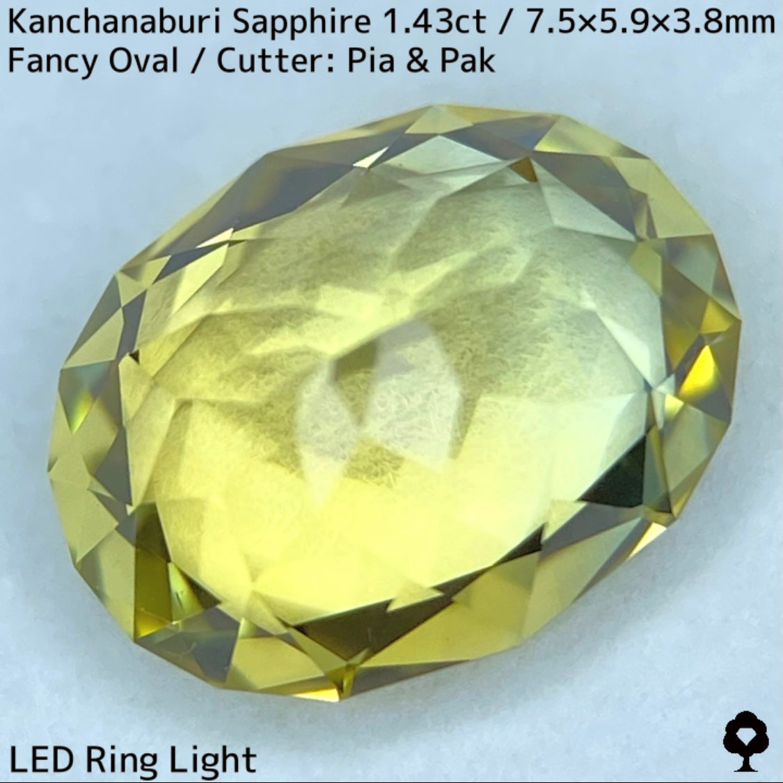 Kanchanaburi Sapphire 1.43ct