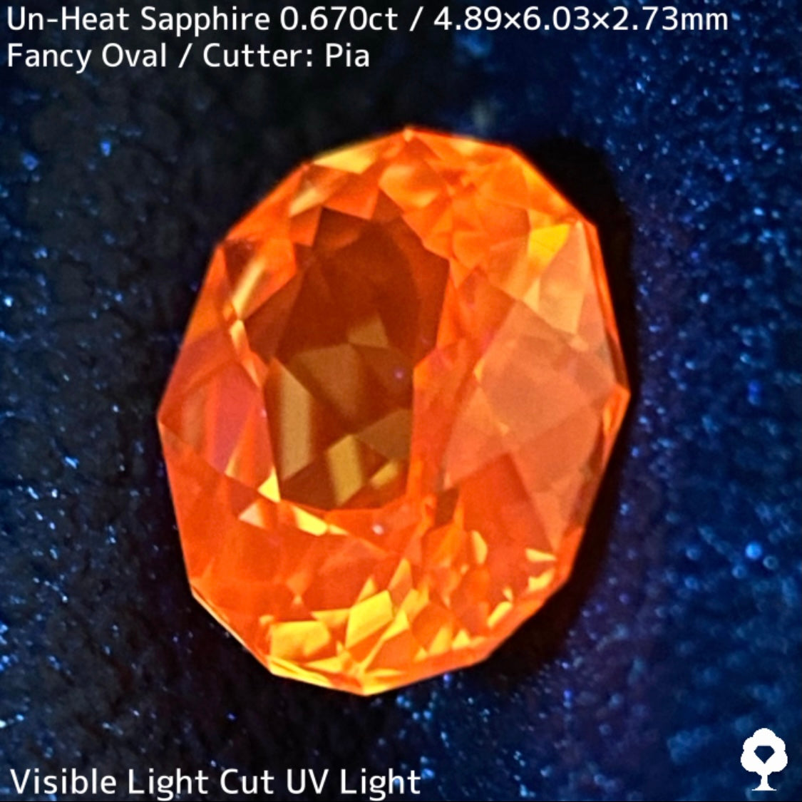 Un-Heat Yellow Sapphire 0.670ct / Kanchanaburi