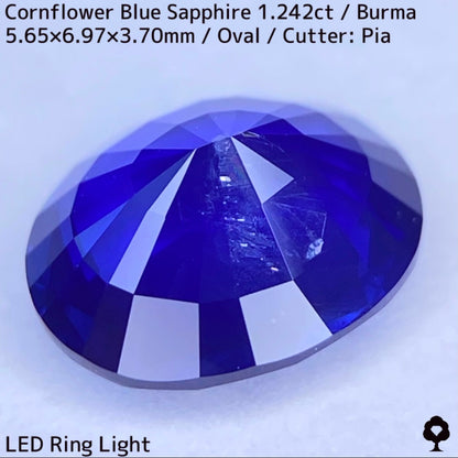 CornFlowerBlue Sapphire 1.242ct / Burma