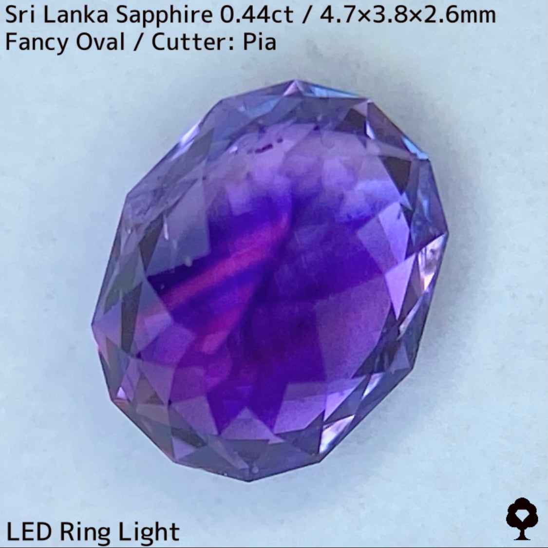 [For the successful bidder only] Sri Lankan sapphire 0.44ct ★ 2024.1.14 GTJ Founding Anniversary Chat Auction