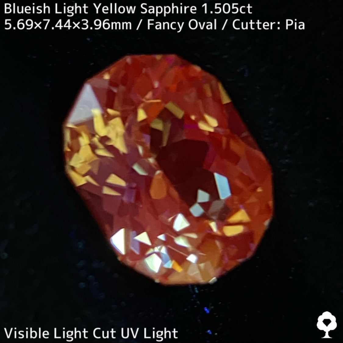 Kanchanaburi Sapphire 1.505ct