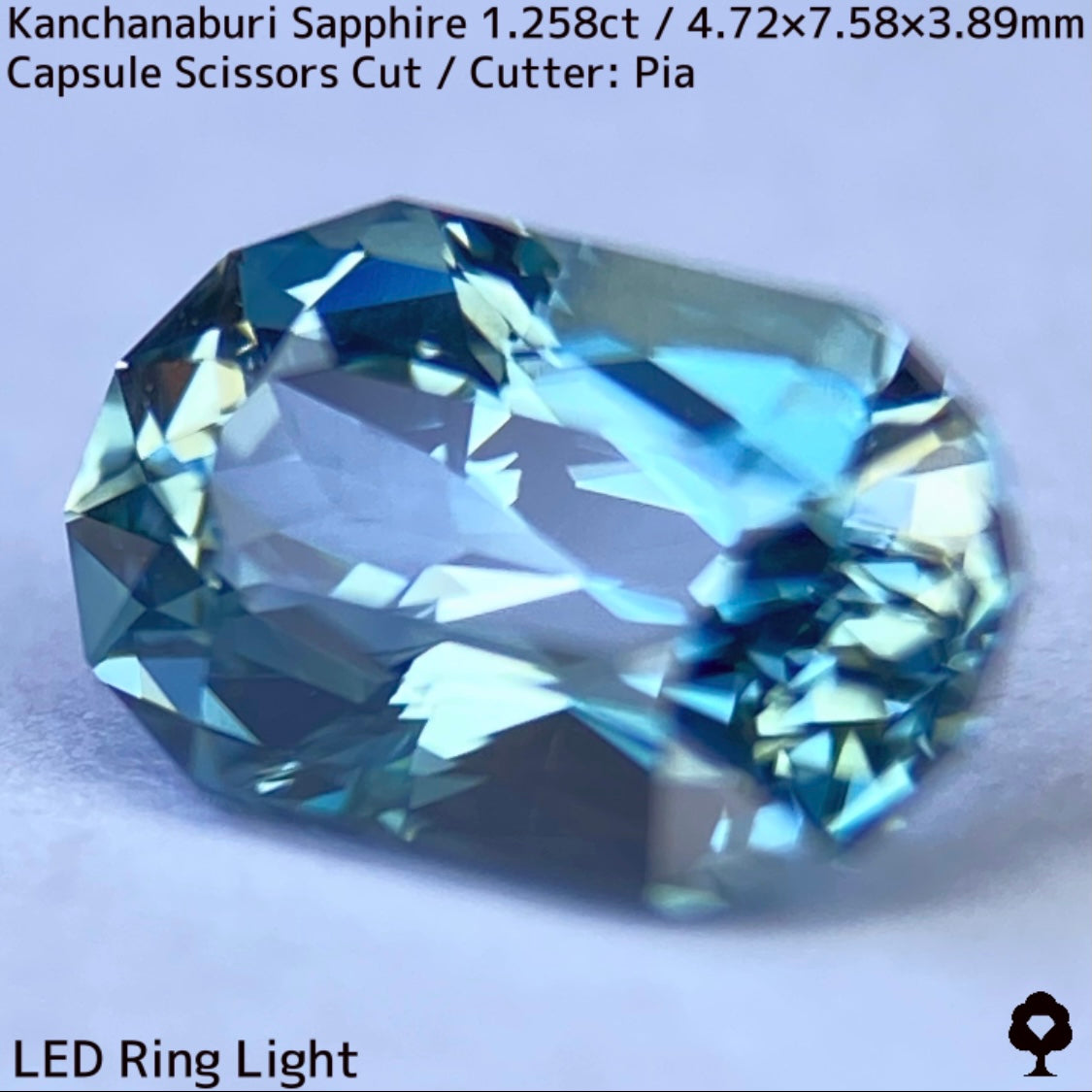 Kanchanaburi Sapphire 1.258ct