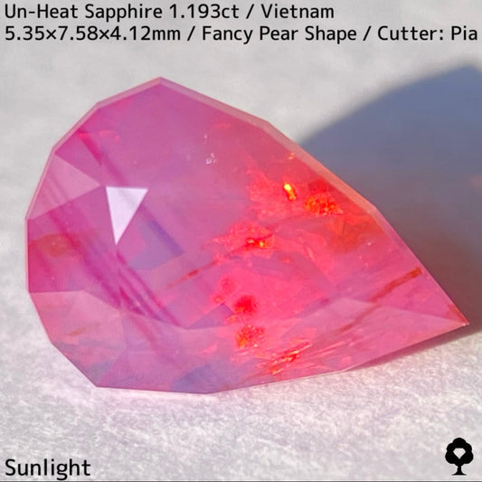 [For the Winner Only] Vietnam Unheated Sapphire 1.193ct ★ Corundum Focus Lottery Sale Price