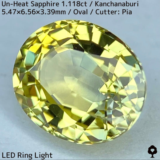 Un-Heat Yellow Sapphire 1.118ct / Kanchanaburi