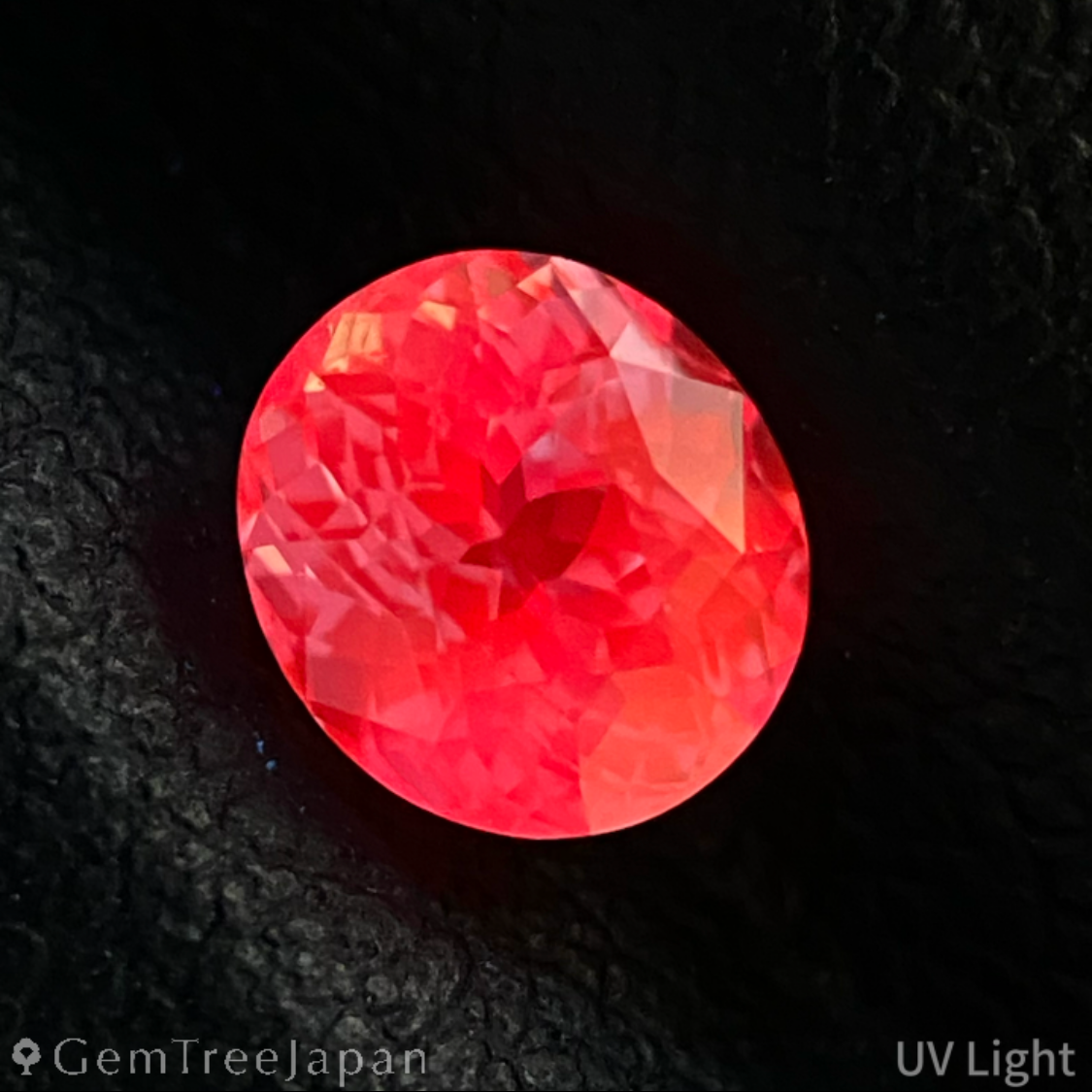 【lulu's Gem】Un-Heat Sapphire 0.78ct / Sri Lanka