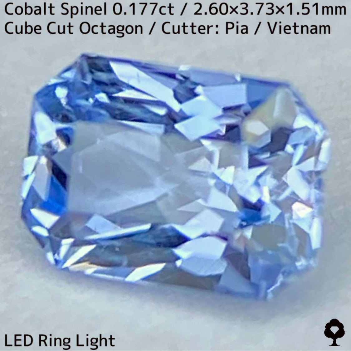 【Present campaign】Cobalt Spinel 0.177ct / Vietnam