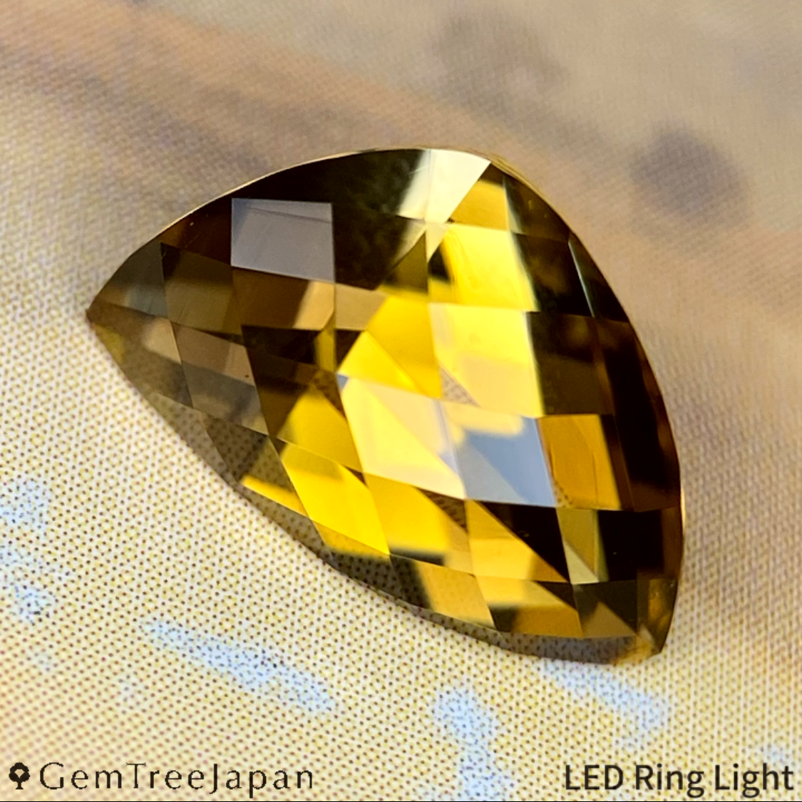 "Claw Cut" Tourmaline 1.802ct / Tanzania