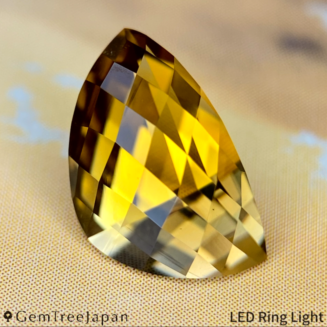 "Claw Cut" Tourmaline 1.802ct / Tanzania
