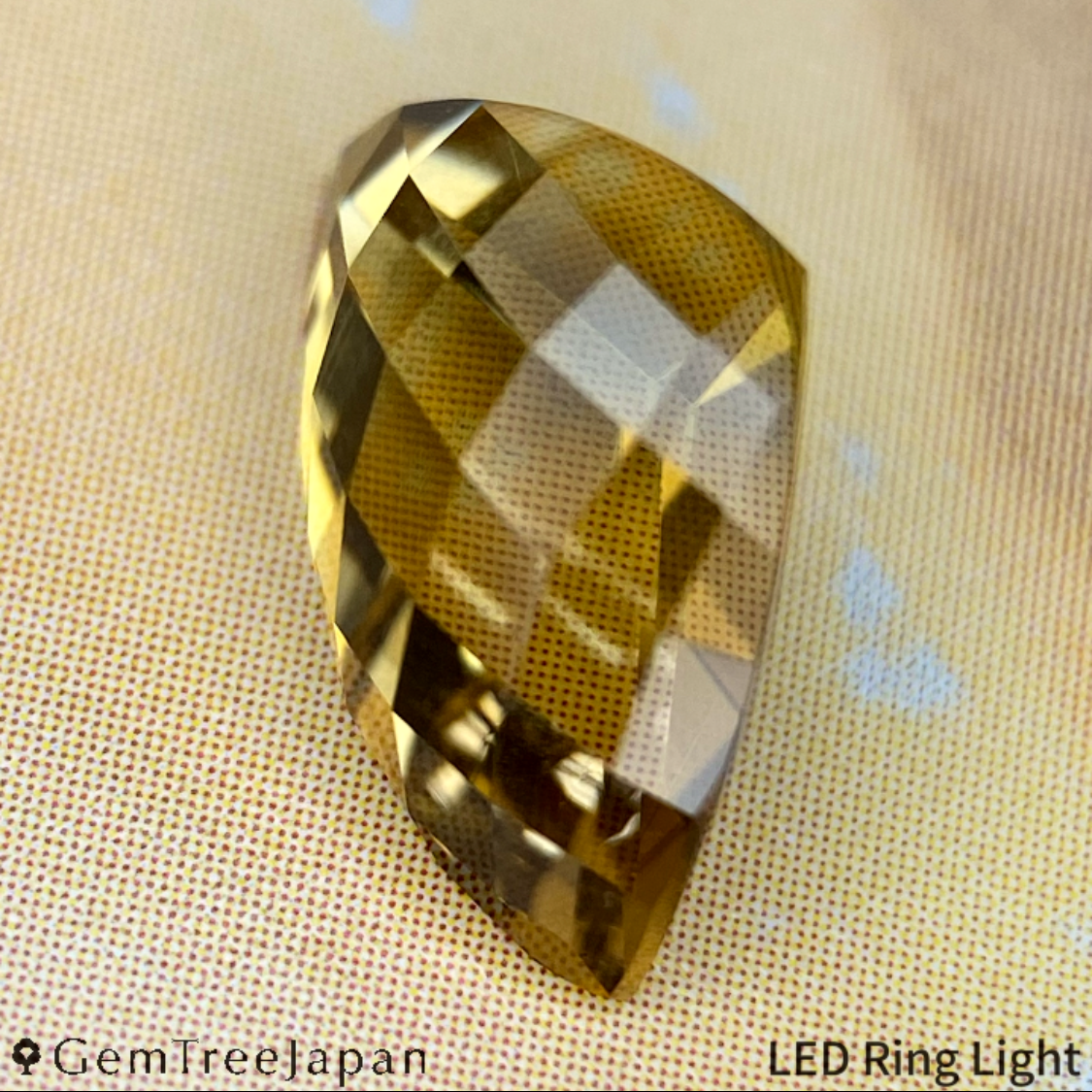 "Claw Cut" Tourmaline 1.802ct / Tanzania