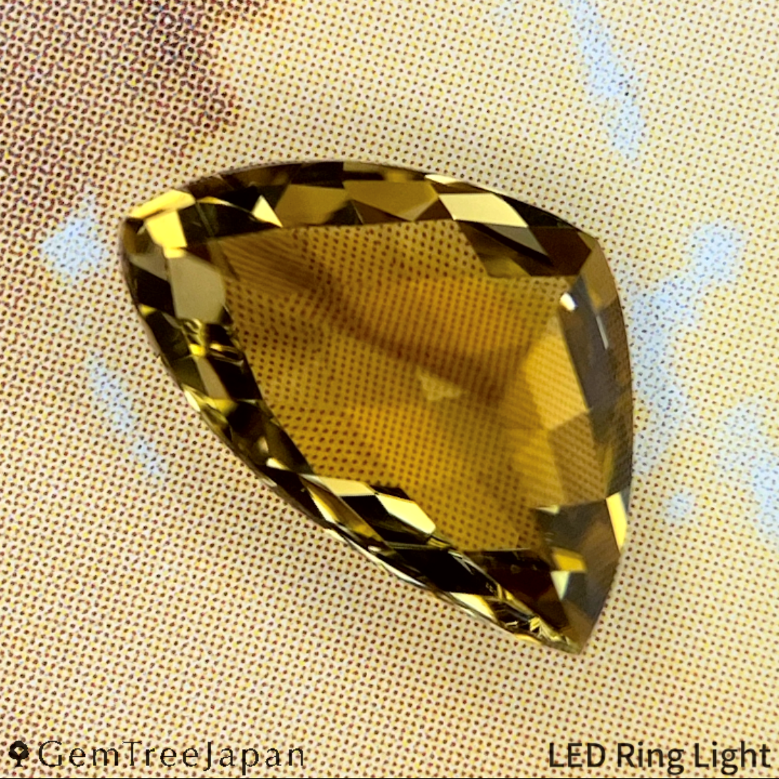 "Claw Cut" Tourmaline 1.802ct / Tanzania