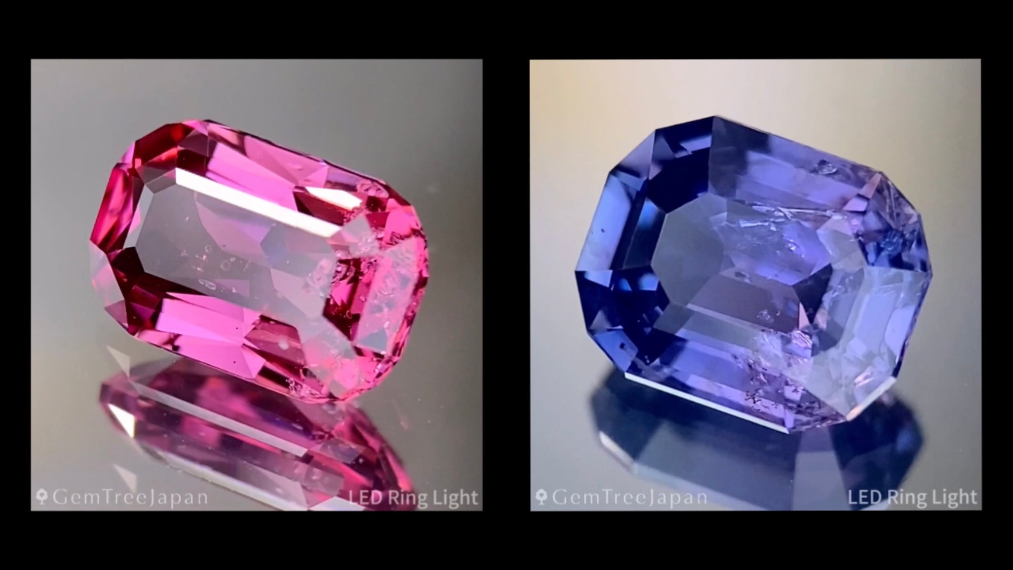 動画を読み込む: 