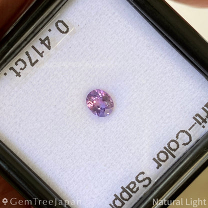 Parti-Color Sapphire 0.417ct / Sri Lanka