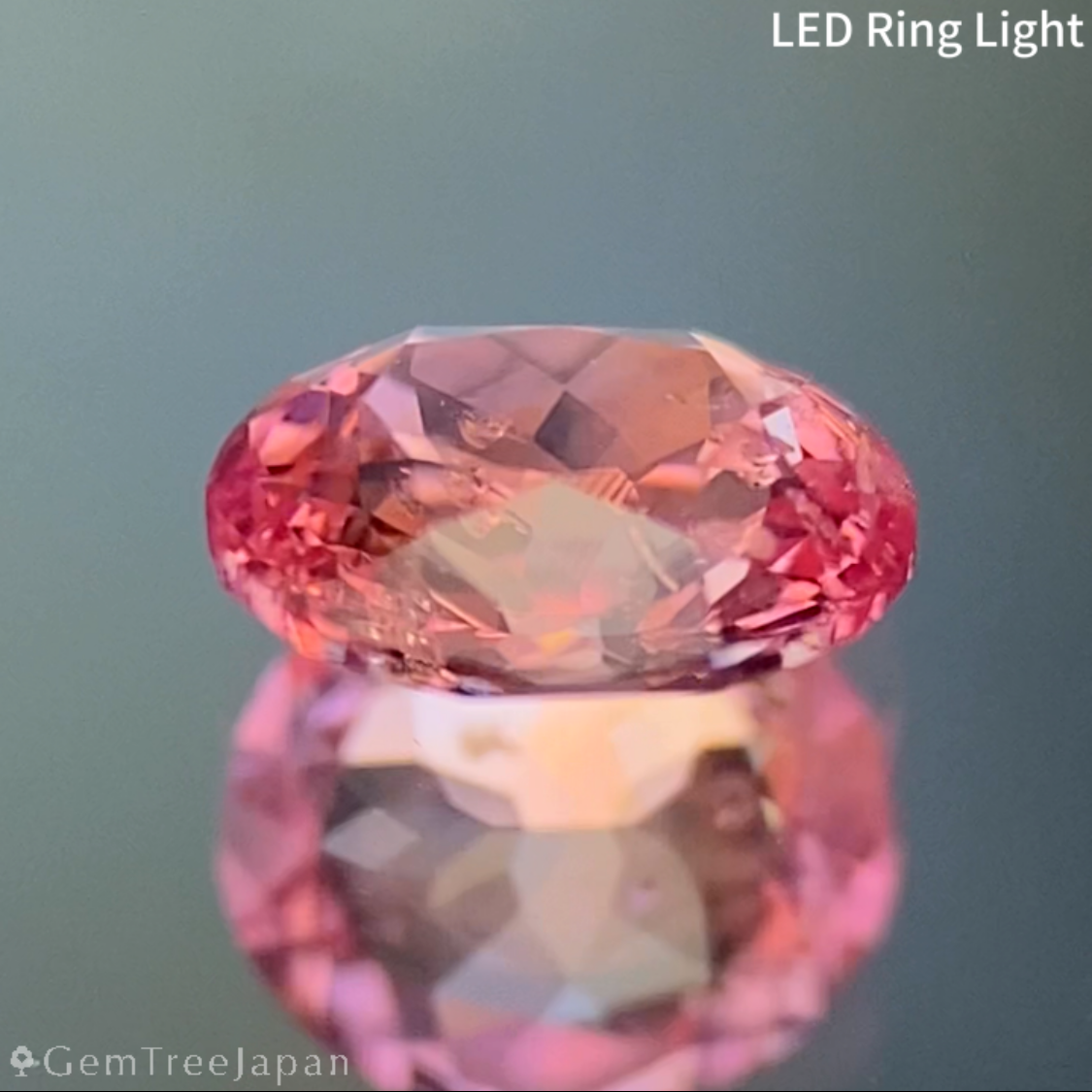 Un-Heat Padparadscha Sapphire 0.469ct / Sri Lanka