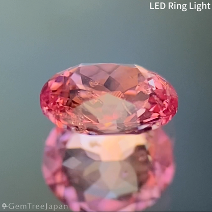 Un-Heat Padparadscha Sapphire 0.469ct / Sri Lanka