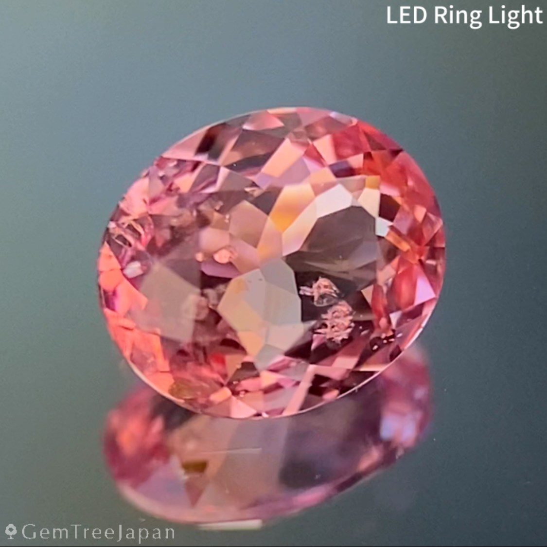 Un-Heat Padparadscha Sapphire 0.469ct / Sri Lanka