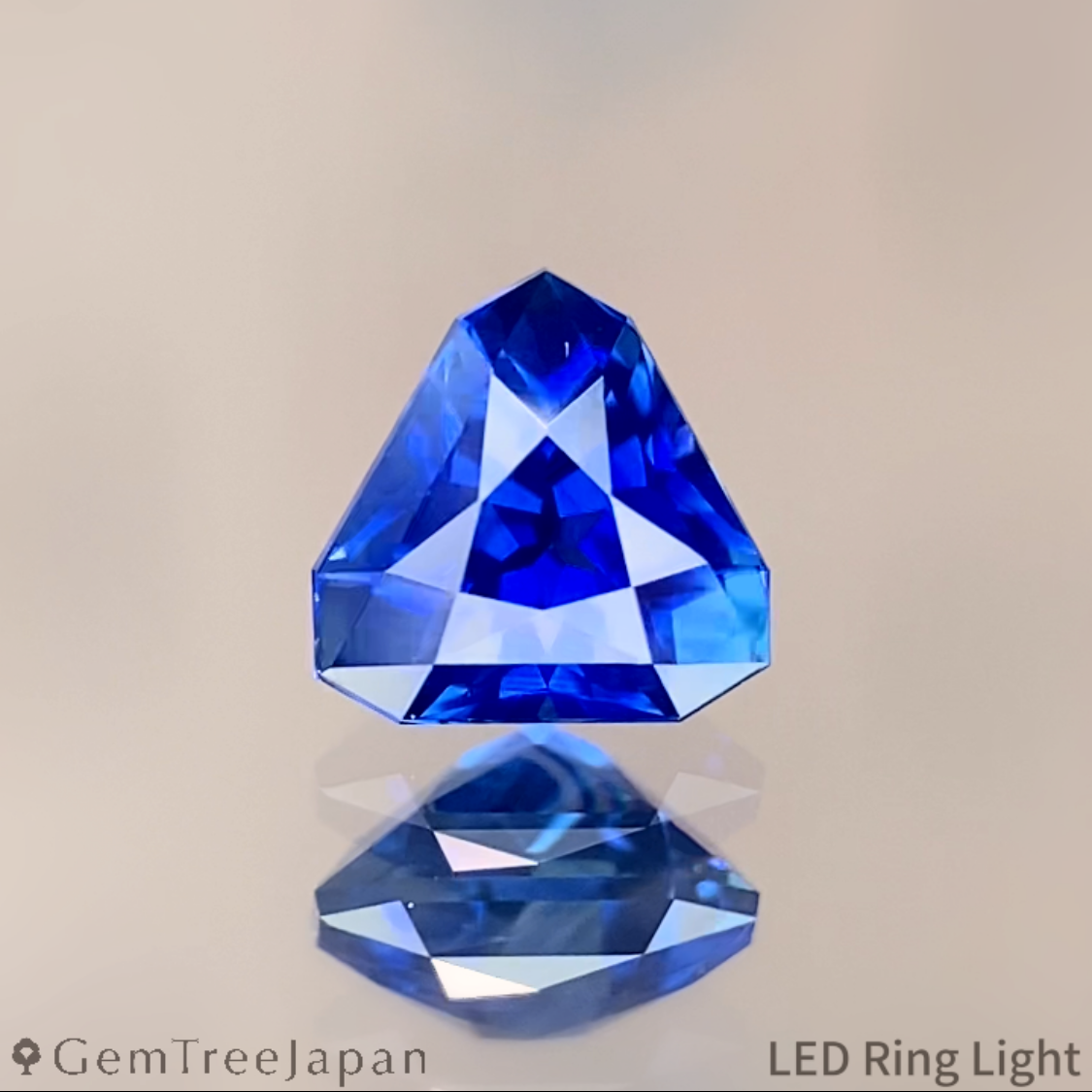 Cornflower Blue Sapphire 0.602ct / Sri Lanka