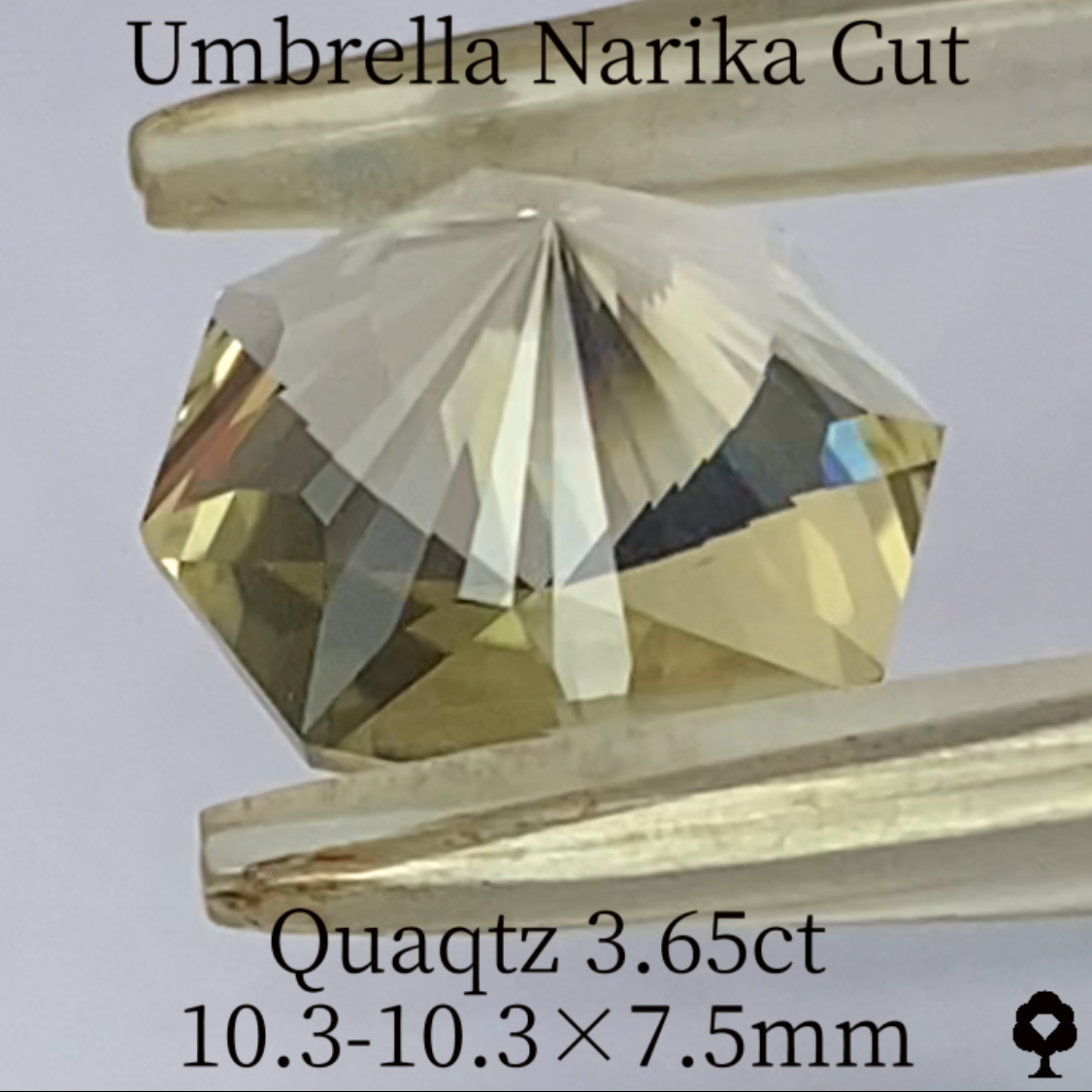 Quartz 3.65ct / Brazil / Umbrella Narika – IRMO.JP