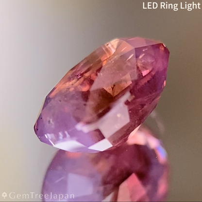 Un-Heat Parti-Color Sapphire 1.413ct / Sri Lanka