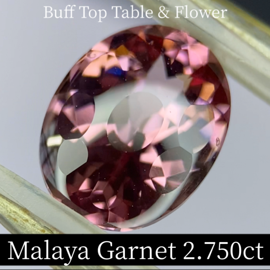 Malaya Garnet 2.750ct / Buff Top Flower