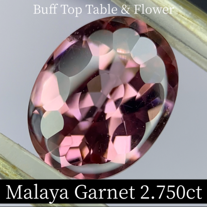 Malaya Garnet 2.750ct / Buff Top Flower