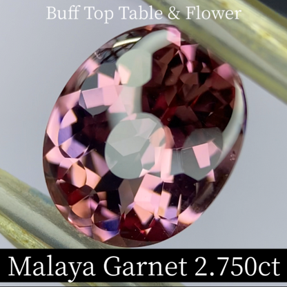 Malaya Garnet 2.750ct / Buff Top Flower