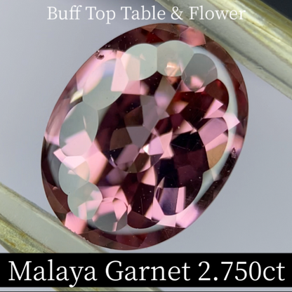 Malaya Garnet 2.750ct / Buff Top Flower