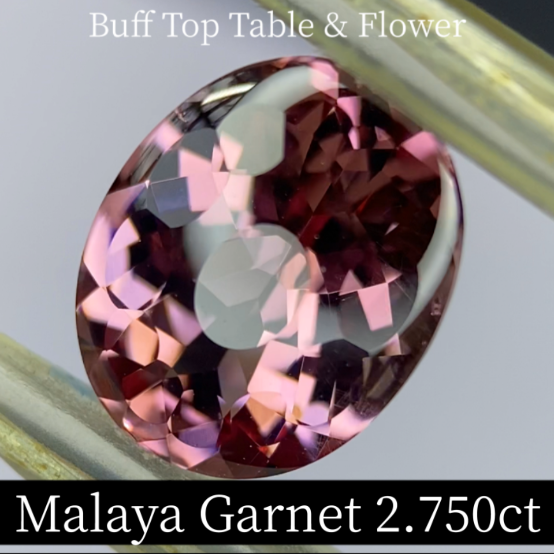 Malaya Garnet 2.750ct / Buff Top Flower